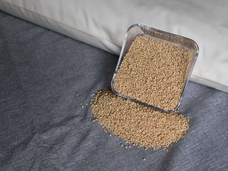 Hirseschalen in Glasschüssel an ein Körnerkopfkissen angelehnt. Hirsefüllung für Körnerkopfkissen.